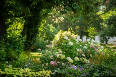 Fotografie realizată de TILO - #2118620