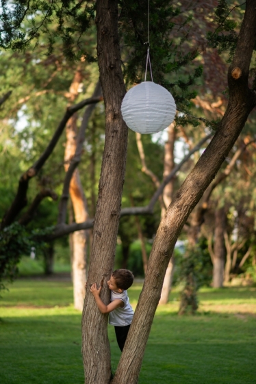 Fotografie realizată de TILO - #2118621