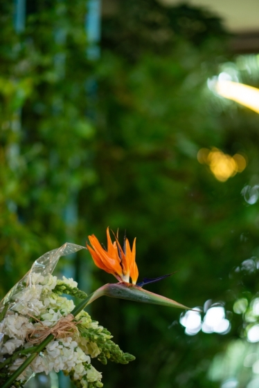 Fotografie realizată de TILO - #2118629