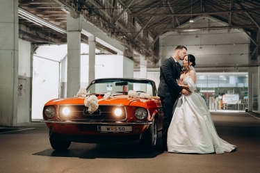 Foto Video Boce #2118635