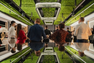 Alin Zvinca #2118917