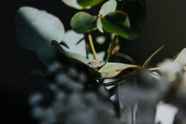 Fotografie realizată de Besenyei Norbert - #2121956