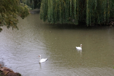 Fotografie realizată de Iustin Ichim - #2124413