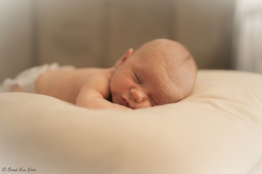 Brand New Vision #2124494