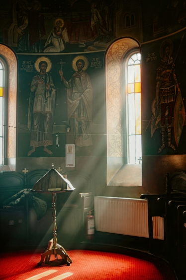 Proca Ovidiu OP Studio #2129572