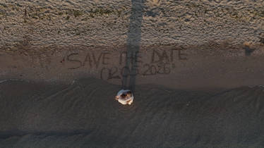 B & P Wedding #2129920