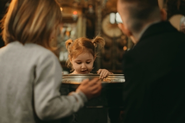 Proca Ovidiu OP Studio #2129923