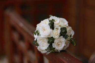 Fotografie realizată de Trifescu Alexandru (VIATA IN FOTOGRAFII) - #2131437