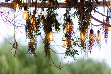 Fotografie realizată de Samfira Laurentiu - #2131549