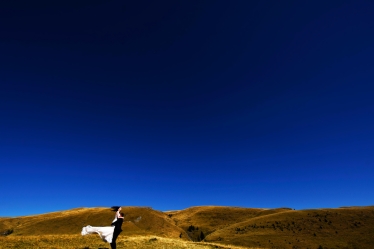 Robert David #2133257