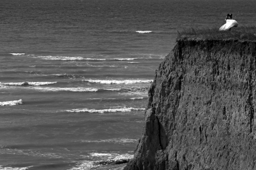 Robert David #2133258