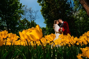 Image Makers #2133614