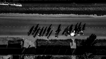 Emanuel Lupascu Photographer #2134020