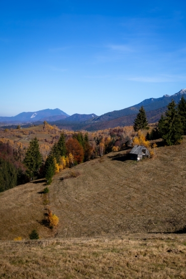 Fotografie realizată de cadre_weddings - #2135587