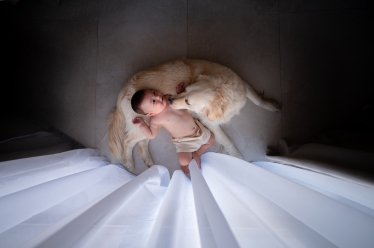 Cosmin Calispera #2144467