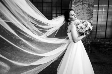 Morarii Events #2145626
