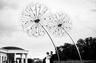 Soso Photography #2149179