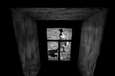 Constantin Plugari #2153814