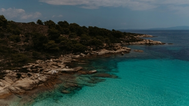 Frunza Photo&Video #2155834