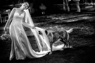 Andra & Marius Dragan #2158164