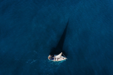 Marin Victor #2168647
