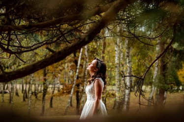 Karoly M. Photography #2171278